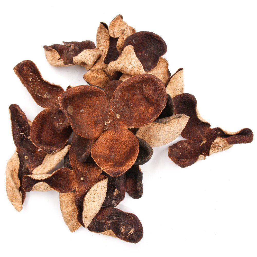 6353131 Premium Aged Chenpi